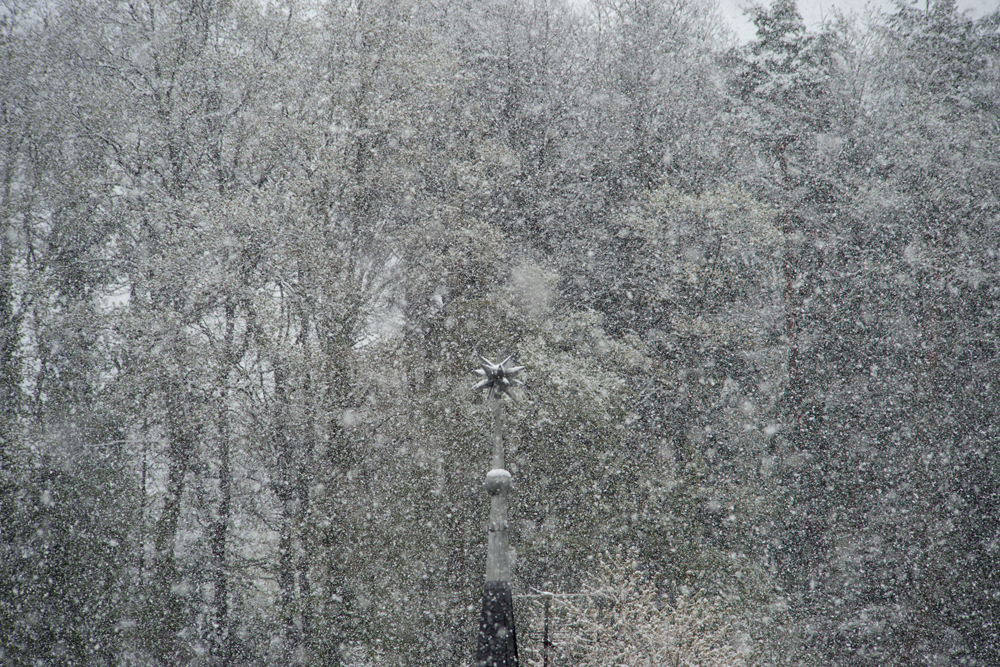 snow-star-david-gabriel-fischer-zen-diary